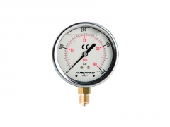 Pressure gauge DS 2,5 in. (63 mm)
